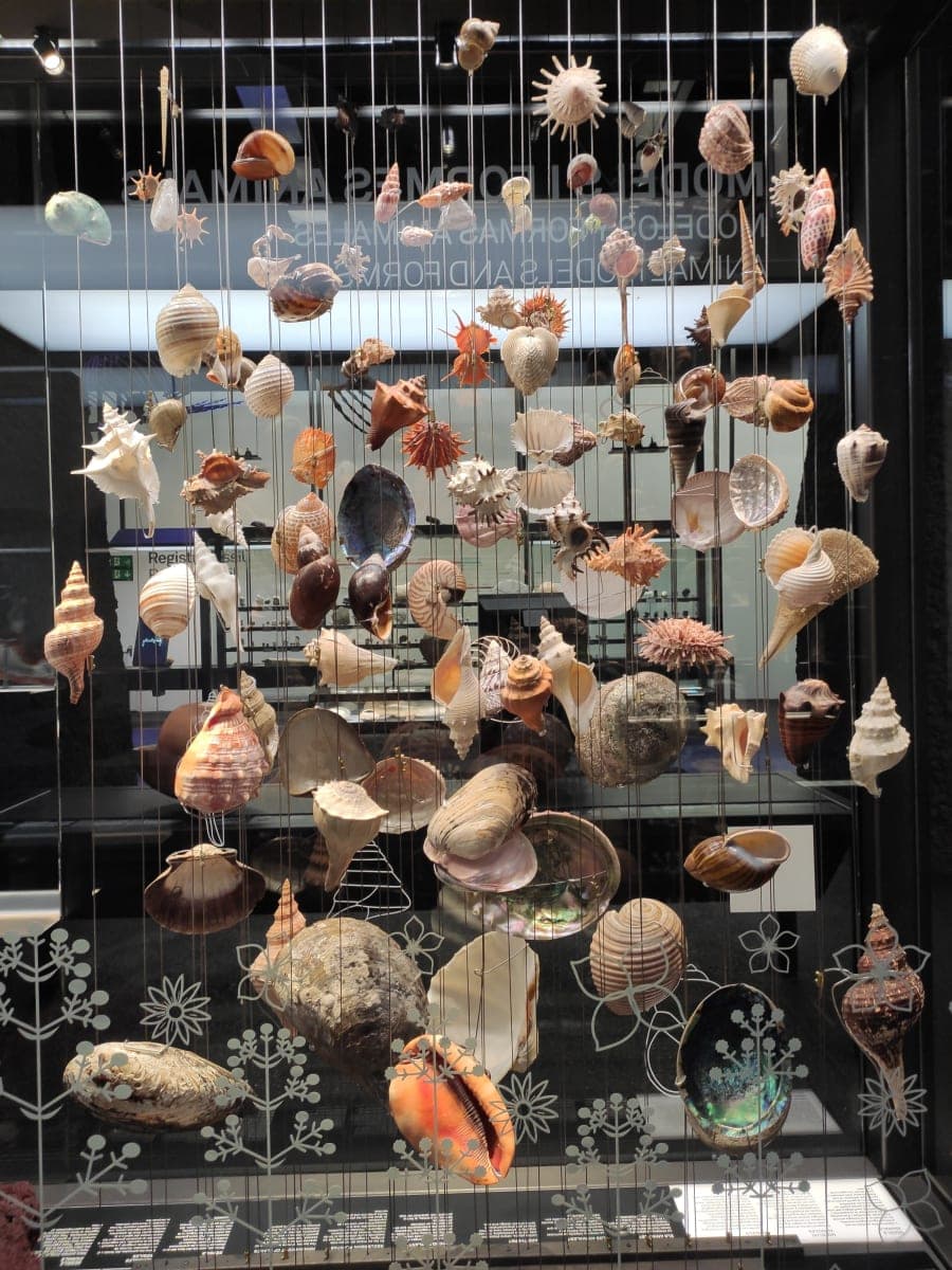 Museo ciencias naturales