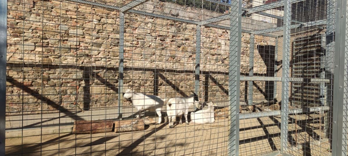 Hort Urbà Masia Can Cadena